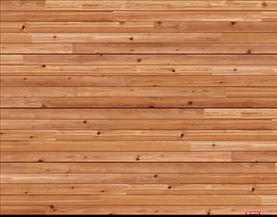 Plank